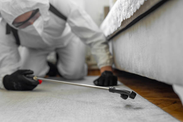 Professional Bed Bug Control technician working in Englishtown, NJ