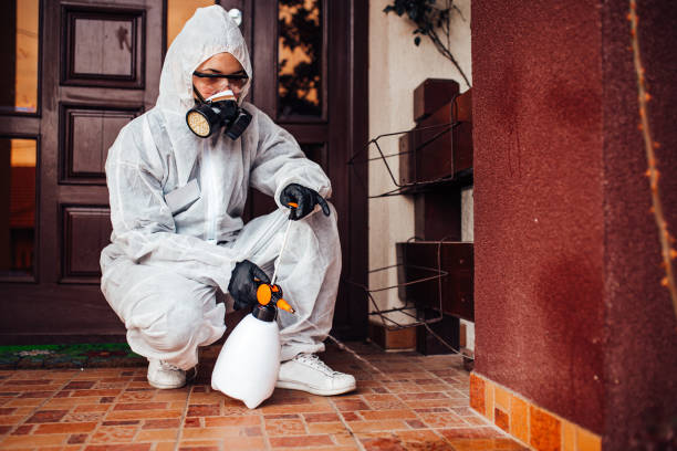 Reliable Bed Bug Control contractor in Englishtown, NJ by Nex Pest Control