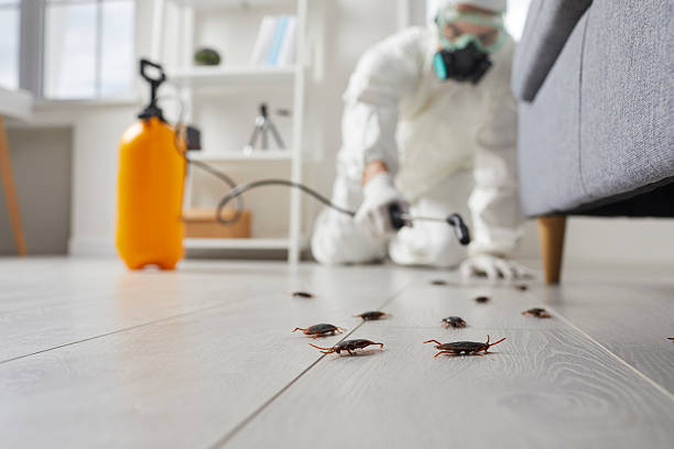 Trusted Emergency Pest Control service in Englishtown, NJ - Nex Pest Control