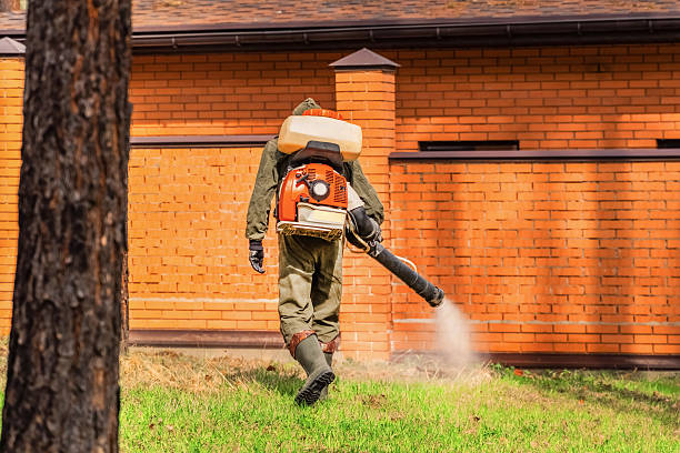 Trusted Rodent Control service in Englishtown, NJ - Nex Pest Control